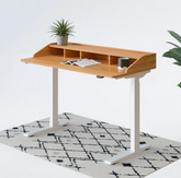 Esben Standing Desk UD5